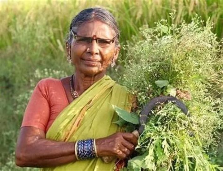 Gangavva Height, Weight, Net Worth, Age, Birthday, Wikipedia, Who, Instagram, Biography