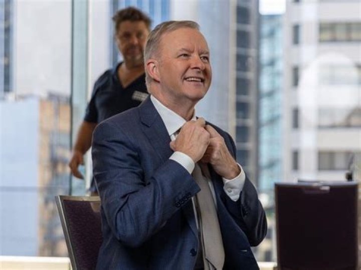 
How Old Is Nathan Albanese? Career Details To Know About Anthony Albanese Son 