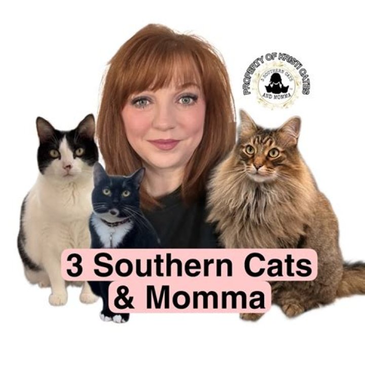 What Is 3 Southern Cats TikTok Account? Who Is The Owner