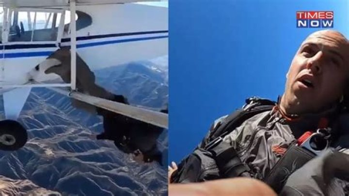 
Who is Trevor Jacob? YouTuber deliberately crashes plane for views, faces 20 years in prison 