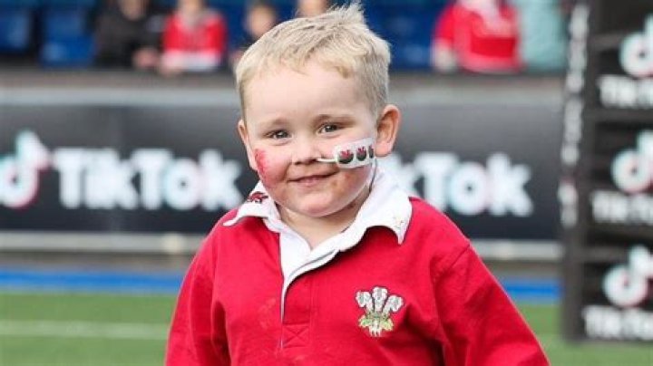 
Who was Morgan Ridler? 3-year-old Welsh Rugby fan dies after battling cancer 