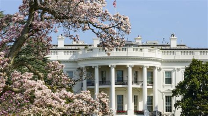 
Why Is Cedric Richmond Leaving White House And Who Is Replacing Him As Biden Adviser? 